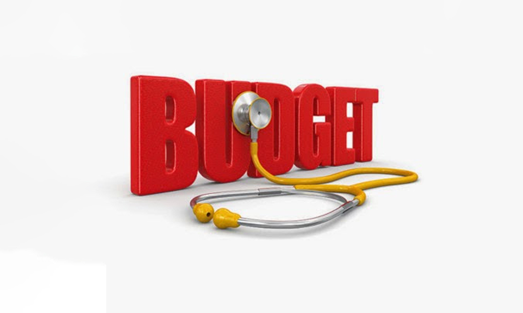 Decoding the Indian Budget 2024 the Medical Industry?