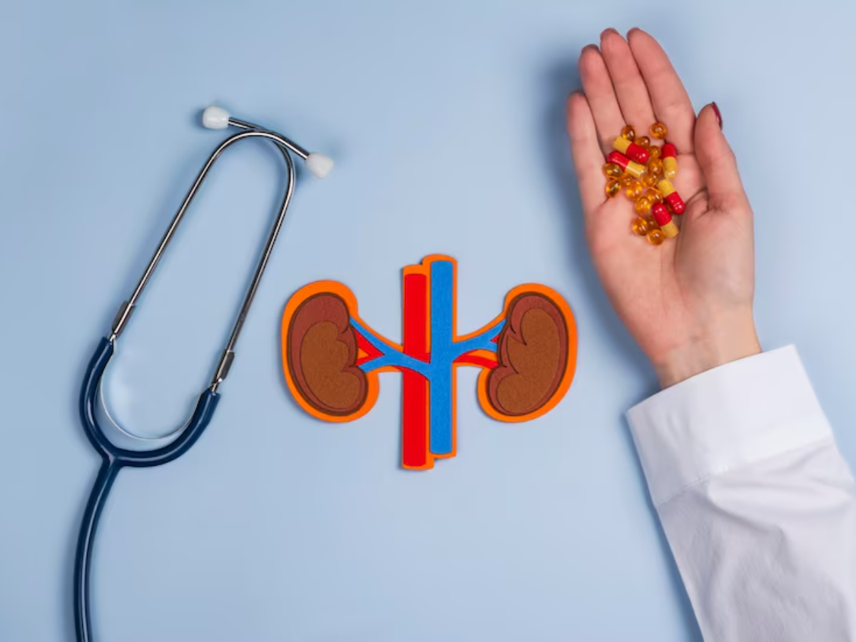 Getting Kidney Stone Disease Treatment Is Now Easy