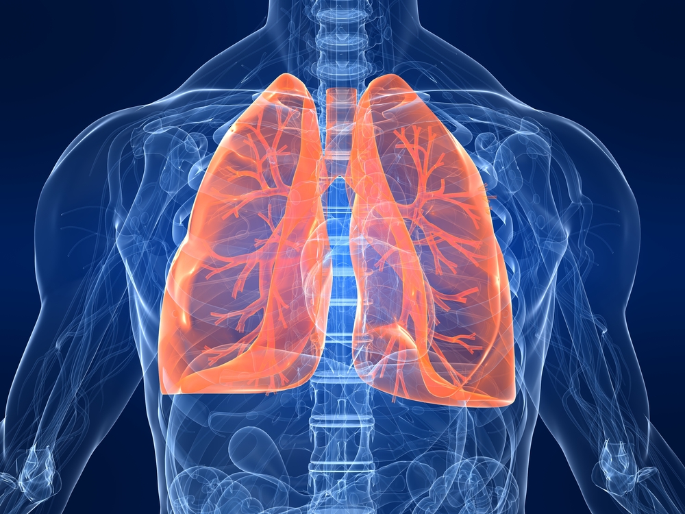 Know What Is Pneumothorax: Treatment & Prevention