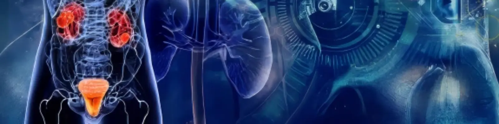Urology