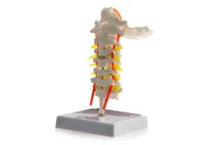 Advanced spine surgery for spinal disorders