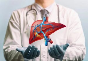 WhatsApp Image 2025-11-04 at 09.59.47_3ac8ebaa